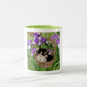 Tasse 2 Couleurs Panier adorable de lapins