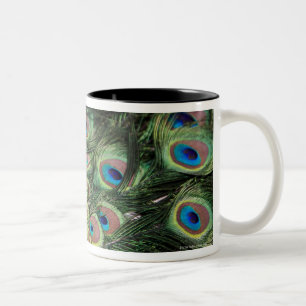 Tasse 2 Couleurs Paon masculin (cristatus de Pavo) montrant la