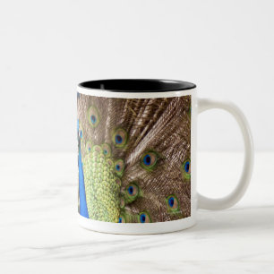 Tasse 2 Couleurs Paon montrant le plumage