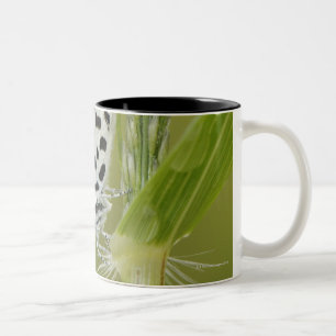 Tasse 2 Couleurs Papillon blanc repéré se reposant sur la tige
