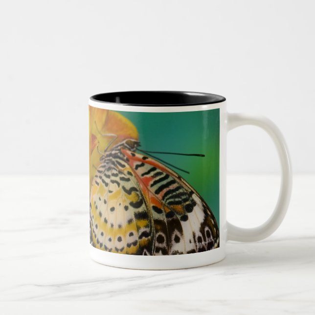 Tasse 2 Couleurs Papillons tropicaux de Lacewing de léopard (Droit)
