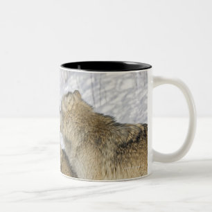 Tasse 2 Couleurs Paquet de loups agissant l'un sur l'autre