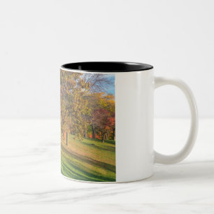 Tasse 2 Couleurs Parc Marthaler Arbres d'automne sur les collines