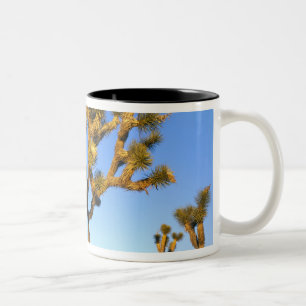Tasse 2 Couleurs Parc national de Joshua Tree, Californie. États-Un