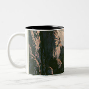 Tasse 2 Couleurs Parc national des fjords de Kenai en Alaska, œuvre