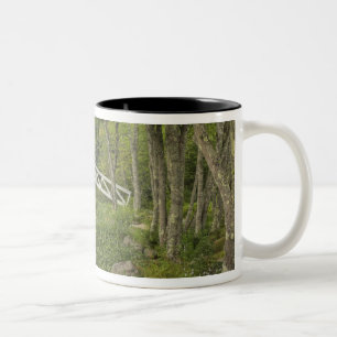 Tasse 2 Couleurs Passerelle blanche, Somesville, Mont Desert