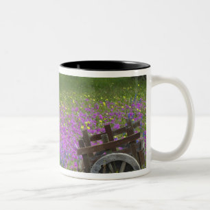 Tasse 2 Couleurs Pâte en bois dans le champ de Phlox, Bonnets Bleu