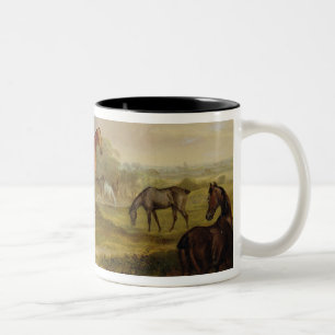 Tasse 2 Couleurs Pâturage de chevaux : Un étalon gris frôlant av