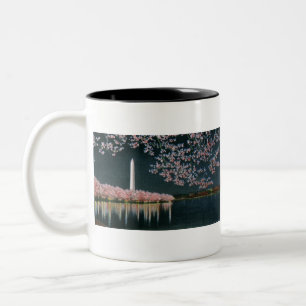 Tasse 2 Couleurs PAU42 Washington à Night.tif
