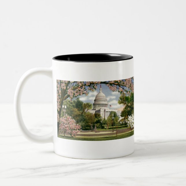 Tasse 2 Couleurs PAU46 USA Capitol.tif (Gauche)