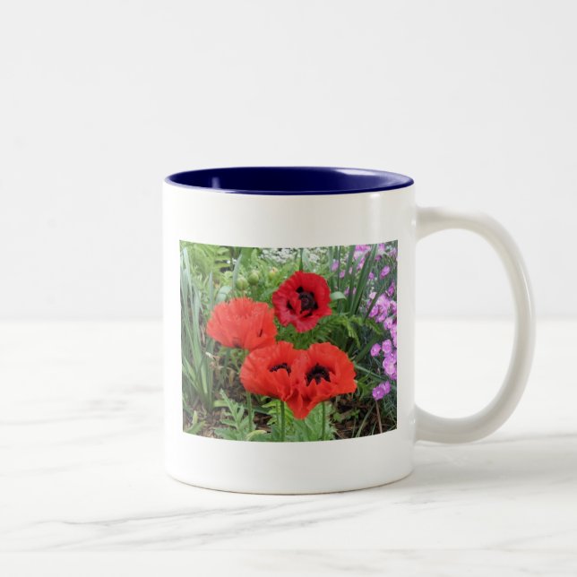 TASSE 2 COULEURS PAVOTS ! (Droit)