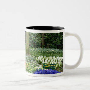 Tasse 2 Couleurs Pays-Bas aka Hollande), Lisse. Keukenhof 11