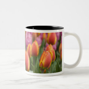 Tasse 2 Couleurs Pays-Bas (alias Holland), Lisse. Keukenhof