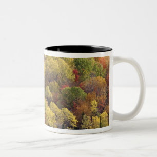 Tasse 2 Couleurs Paysage d'automne, Vermont, États-Unis 2
