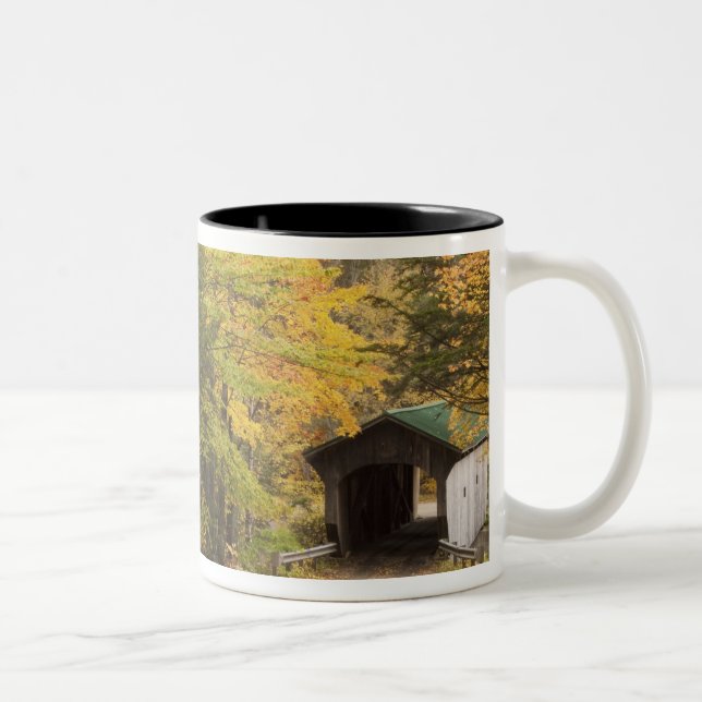 Tasse 2 Couleurs Paysage d'automne, Vermont, États-Unis 4 (Droit)