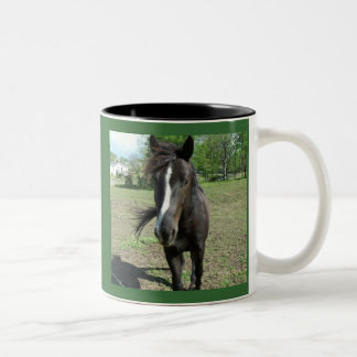 Tasse 2 Couleurs Peinture de cheval