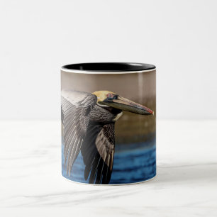 Tasse 2 Couleurs Pélican en vol