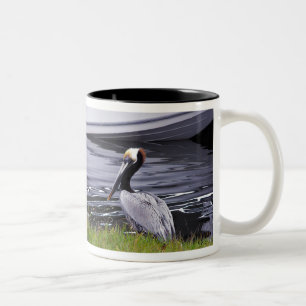 Tasse 2 Couleurs Pelican Poser