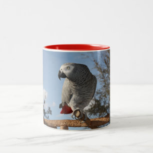 Tasse 2 Couleurs Perroquet renversant de gris africain