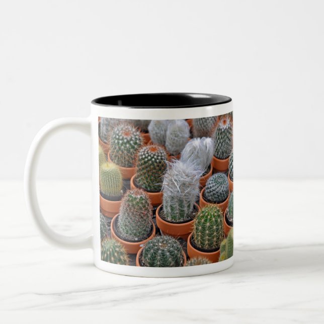 Tasse 2 Couleurs Petits plantes de cactus (Gauche)