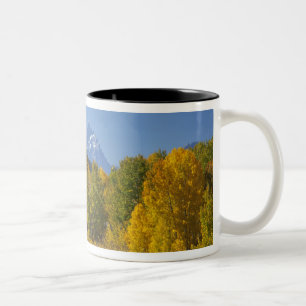 Tasse 2 Couleurs Peupliers faux-trembles avec la chaîne de montagne