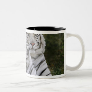 Tasse 2 Couleurs Phase blanche, Tigre du Bengale, Tigris