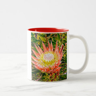 Tasse 2 Couleurs Photographie de fleurs australiennes de Protea