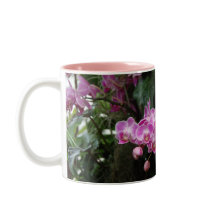 Photographie florale d'orchidée rose
