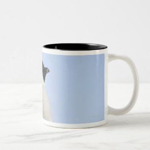 Tasse 2 Couleurs Pingouin d'empereur de bébé, île de colline de
