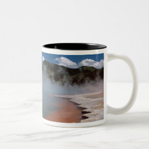 Tasse 2 Couleurs Piscine à vapeur à champagne à WAI-O-TAPU