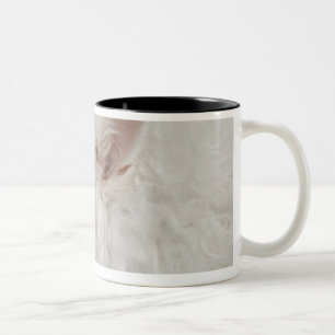 Tasse 2 Couleurs Plan rapproché de Keeshond (10 années)