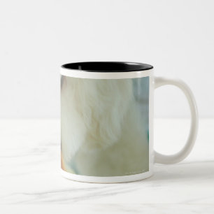 Tasse 2 Couleurs Plan rapproché d'un caniche miniature mangeant de