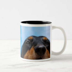 Tasse 2 Couleurs Plan rapproché d'un halètement de chien de tecke