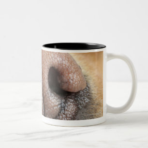 Tasse 2 Couleurs Plan rapproché extrême d'un nez de chien