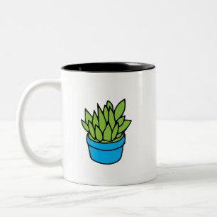 Tasse 2 Couleurs Plante Succulent dans Blue Planter