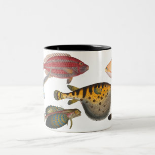 Tasse 2 Couleurs Poissons