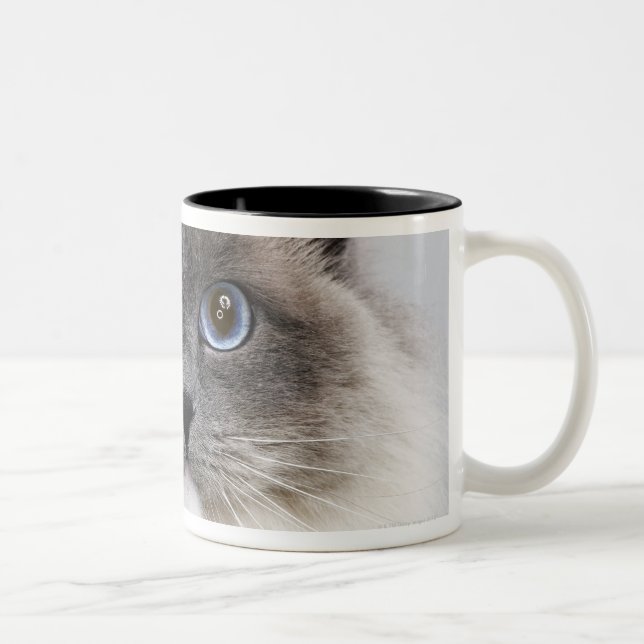 Tasse 2 Couleurs Portrait de chat de Ragdoll (Droit)