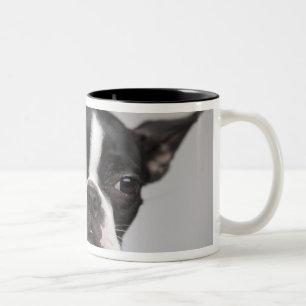 Tasse 2 Couleurs Portrait de chien
