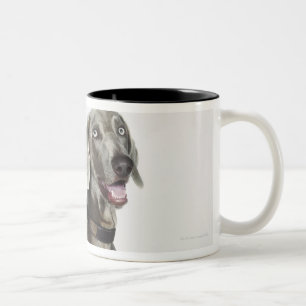 Tasse 2 Couleurs Portrait de chien de Weimaraner