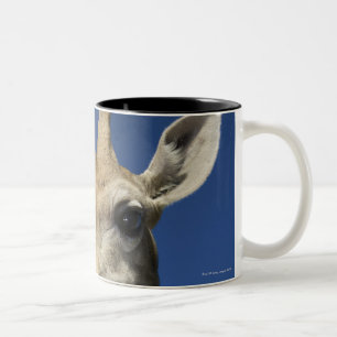 Tasse 2 Couleurs Portrait de girafe (Giraffa Camelopardalis) 2