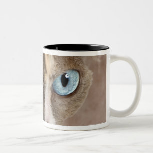 Tasse 2 Couleurs Portrait de studio de chat de Sphynx