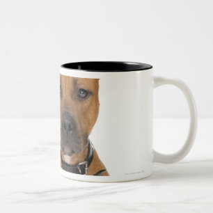 Tasse 2 Couleurs Portrait de studio du chiot américain 3 de pitbull