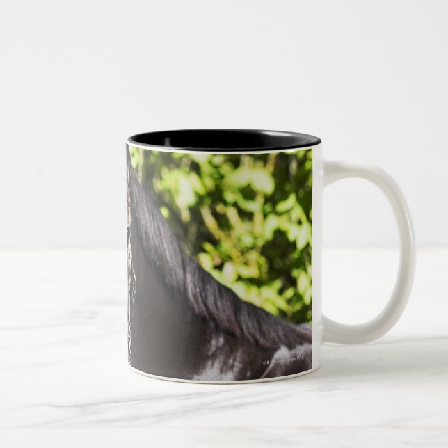 Tasse 2 Couleurs portrait du cheval brun 2 (Droit)