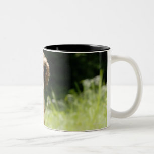 Tasse 2 Couleurs Poseur irlandais