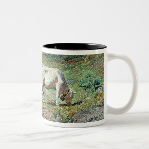 Tasse 2 Couleurs Prés au printemps