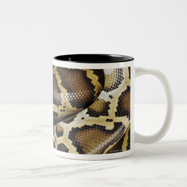 Tasse 2 Couleurs Python birman (Droit)