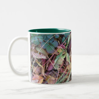 Tasse 2 Couleurs Qualité feuillue
