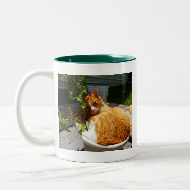 Tasse 2 Couleurs Racleur dans un pot (Gauche)