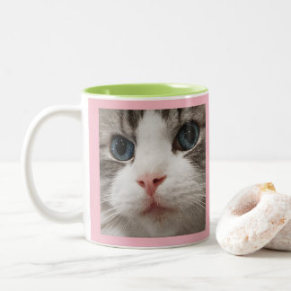 Tasse 2 Couleurs Ragdoll Kitty