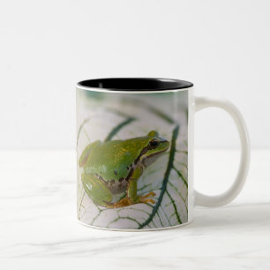 Tasse 2 Couleurs Rainette du Pacifique sur des fleurs dans notre ja